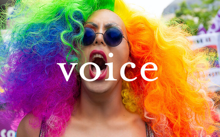 Voice logo pride